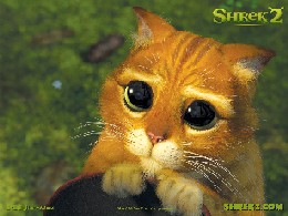 shrek2 jato.jpg